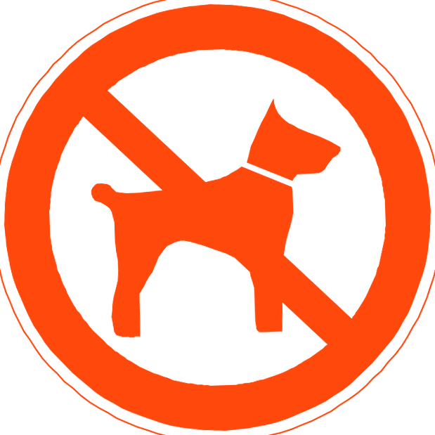 Interdit au chien